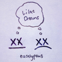 Eucalyptus - Lilac Dreams
