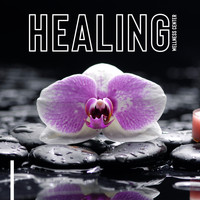 Reiki Tribe - Healing Wellness Center – Therapeutic Spa Music, New Age Melodies for Relaxation, Massage Zone