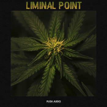 Various Artists - Liminal Point