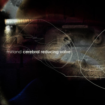 Mirland - Cerebral Reducing Valve