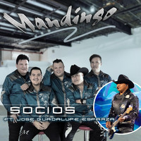 Mandingo - Socios (feat. José Guadalupe Esparza)