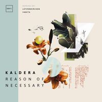 Kaldera - Reason of Necessary