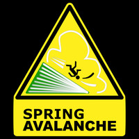 Salo - Spring Avalance