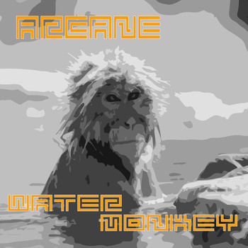 Arcane - Water Monkey (Explicit)