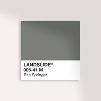 Rita Springer - Landslide
