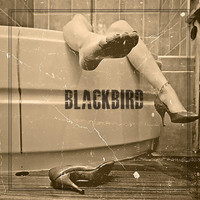 Blackbird - Blackbird