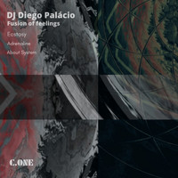 DJ Diego Palacio - Fusion of feelings