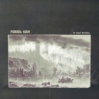 Fossil Arm - In Bad Decline