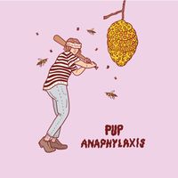 Pup - Anaphylaxis