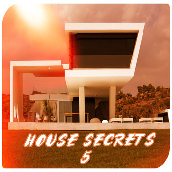 Various Artists - House Secrets, Vol.5 (BEST SELECTION OF CLUBBING HOUSE TRACKS)