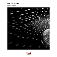Walter Vooys - Disco Sugar