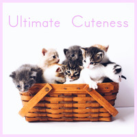 Music for Cats, Cat Music, Cats Music Zone - Ultimate Cuteness