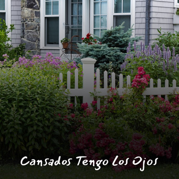 Various Artists - Cansados Tengo Los Ojos