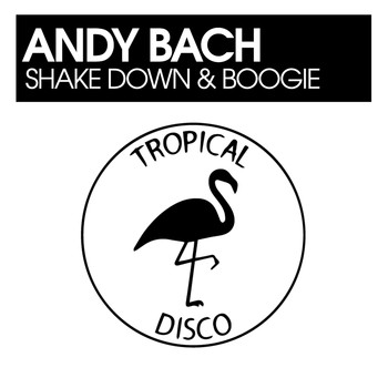 Andy Bach - Shake Down & Boogie