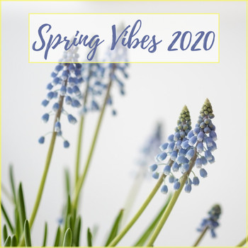 Various Artists / - Spring Vibes 2020