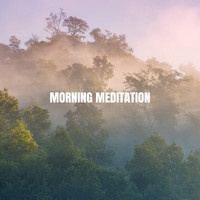 Musica Relajante, Spa Music and Musica para Bebes - Morning Meditation