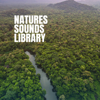 Rain Sounds, Rain for Deep Sleep and Rainfall - Natures Sounds Library