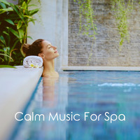 Spa & Spa, Reiki and Wellness - Calm Music For Spa