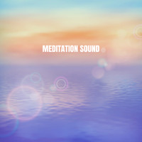 Relaxing Mindfulness Meditation Relaxation Maestro, Deep Sleep Meditation and Yoga Tribe - Meditation Sound