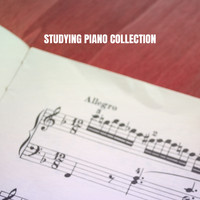 Moonlight Sonata, Study Music Club and Relaxing Piano Music - Studying Piano Collection