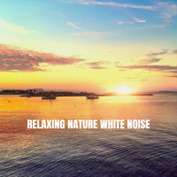 Nature Sounds, White Noise Therapy and Sleep Sounds of Nature - Relaxing Nature White Noise