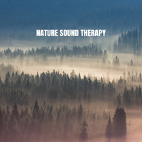 White Noise Research, Sounds of Nature Relaxation and Nature Sounds Artists - Nature Sound Therapy