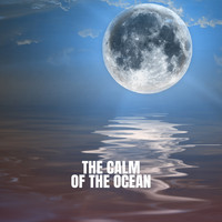 Nature Sounds, White Noise Therapy and Sleep Sounds of Nature - The Calm of the Ocean