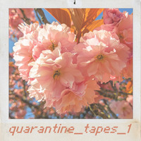 Guy - Quaratine_tapes_1