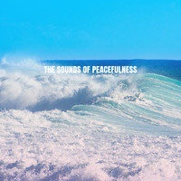 Musica Relajante, Spa Music and Musica para Bebes - The Sounds Of Peacefulness