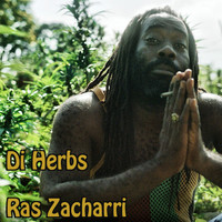 Ras Zacharri - Di Herbs