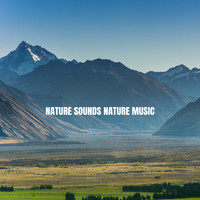 Massage Therapy Music, Yoga Music and Yoga - Nature Sounds Nature Music