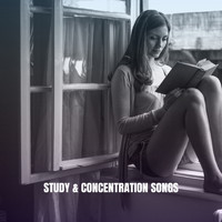 Musica Relajante, Relaxation and Reading and Study Music - Study & Concentration Songs