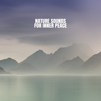 White Noise Research, Sounds of Nature Relaxation and Nature Sounds Artists - Nature Sounds for Inner Peace