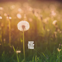 Relaxation And Meditation, Relaxing Spa Music and Peaceful Music - Deep Sleep Yoga