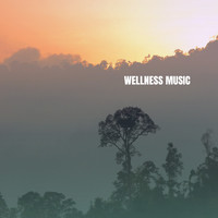 Spa & Spa, Reiki and Wellness - Wellness Music