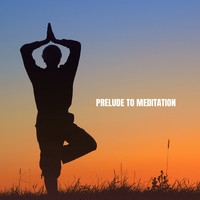 Musica Relajante, Spa Music and Musica para Bebes - Prelude to Meditation