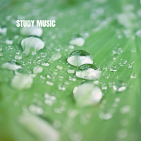 Musica Relajante, Relaxation and Reading and Study Music - Study Music