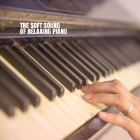 Moonlight Sonata, Study Music Club and Relaxing Piano Music - The Soft Sound of Relaxing Piano