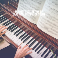 Exam Study Classical Music Orchestra, Musica Para Dormir and Studying Piano Music - Ultimate Collection of Classical Pieces for Study