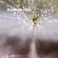 Rain Sounds & White Noise, Meditation Rain Sounds and Rain - Relaxing Rain Sounds