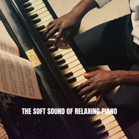Instrumental, Study Music Academy and Musica Para Estudiar Academy - The Soft Sound of Relaxing Piano
