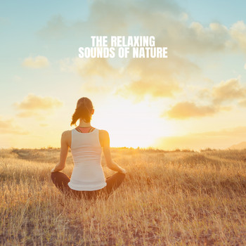 Rain Sounds & White Noise, Meditation Rain Sounds and Rain - The Relaxing Sounds of Nature