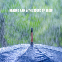 Ocean Sounds Collection, Ocean Sounds and Nature Sound Collection - Healing Rain & The Sound of Sleep