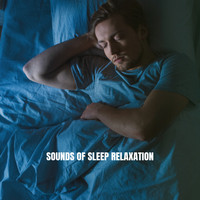 Rain Sounds & White Noise, Meditation Rain Sounds and Rain - Sounds of Sleep: Relaxation