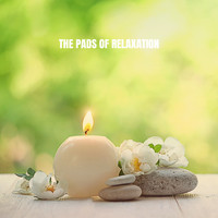 Spa & Spa, Reiki and Wellness - The Pads of Relaxation