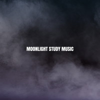 Classical Study Music, Studying Music and Reading and Studying Music - Moonlight Study Music