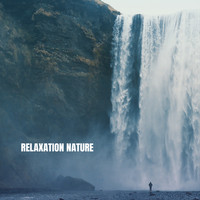 White Noise Research, Sounds of Nature Relaxation and Nature Sounds Artists - Relaxation Nature