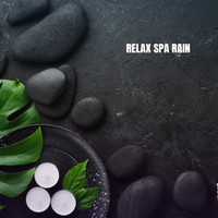 Rain Sounds Nature Collection, Rain Sounds Sleep and Nature Sound Series - Relax Spa Rain
