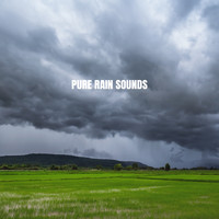 Relaxing Rain Sounds, Deep Sleep Rain Sounds and Soothing Sounds - Pure Rain Sounds