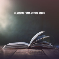 Musica Relajante, Relaxation and Reading and Study Music - Classical Exam & Study Songs